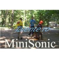 minisonic